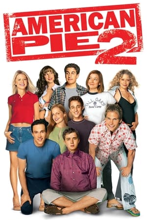 American Pie 2 (2001) Hindi Dual Audio 480p BluRay 375MB