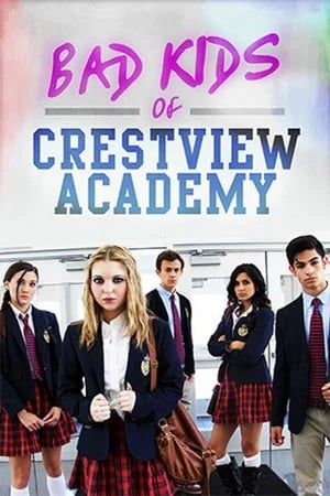 Bad Kids of Crestview Academy (2017) Hindi Dual Audio 720p Web-DL [900MB]