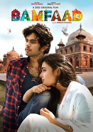 Bamfaad 2020 Hindi Movie 720p HDRip x264 [790MB]