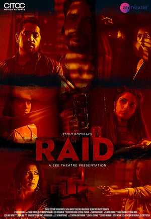 Raid 2019 Hindi Movie 480p HDRip - [250MB]