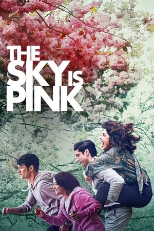 Sky Is Pink (2019) Hindi Movie 480p HDRip – [450MB]