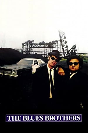 The Blues Brothers (1980) Hindi Dual Audio 720p BluRay [1.3GB] ESubs