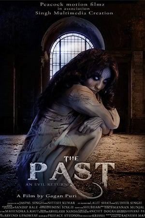 The Past 2018 Hindi Movie 480p HDRip - [350MB]